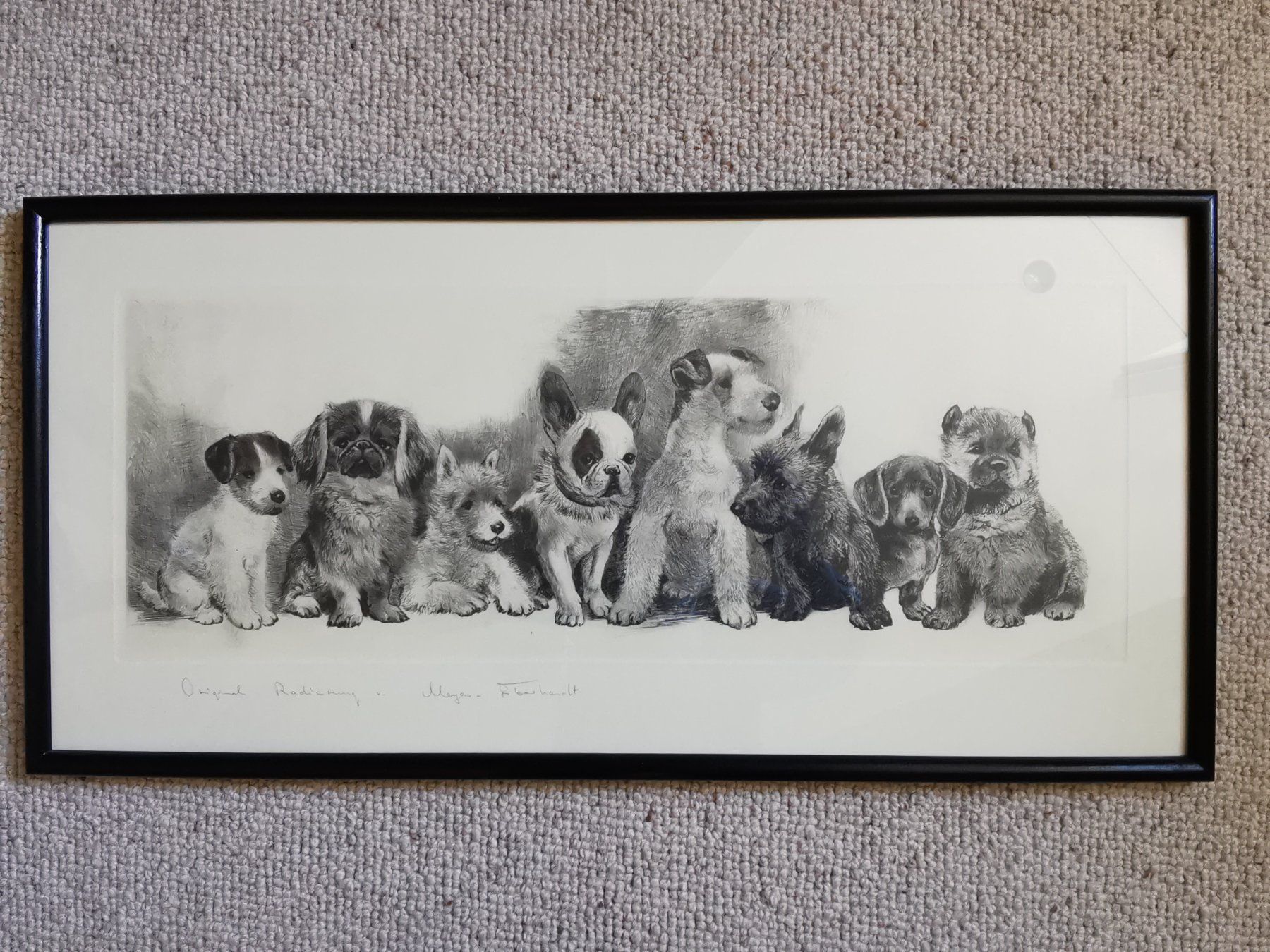 Grafica & Litografie: Hundewelpen, Original-Radierung von Kurt Meyer-Eberhardt – Usato da Dübendorf venduto da aschiduebendorf