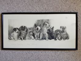 Hundewelpen, Original-Radierung von Kurt Meyer-Eberhardt