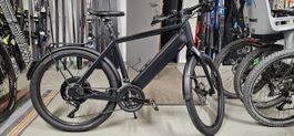 +STROMER- ST2 20’‘ E-Bike (wenig km, vollumf. Service)