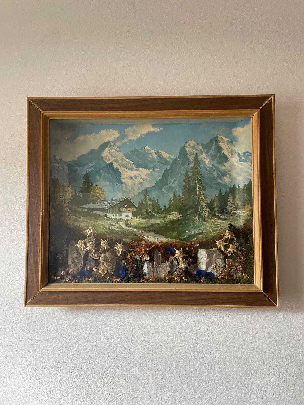 Foto & Immagini: Berghof 3 3D bild mit echtem edelweiss – Usato da Obergerlafingen venduto da bas_b7v6