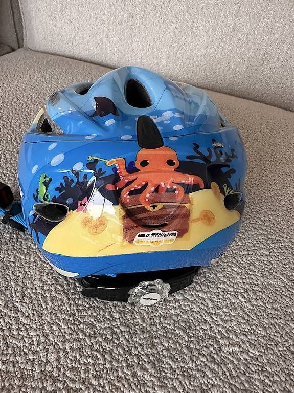Caschi: Kindervelohelm Alpina – Usato da Binningen venduto da sab_8skx 1