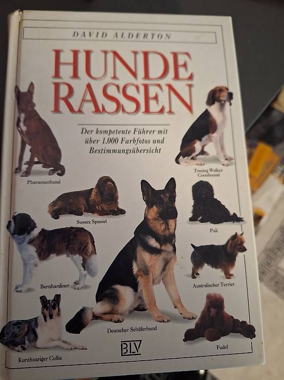 Bücher: Buch Hunderassen – Gebraucht aus Kirchberg SG von heidi.fierz50