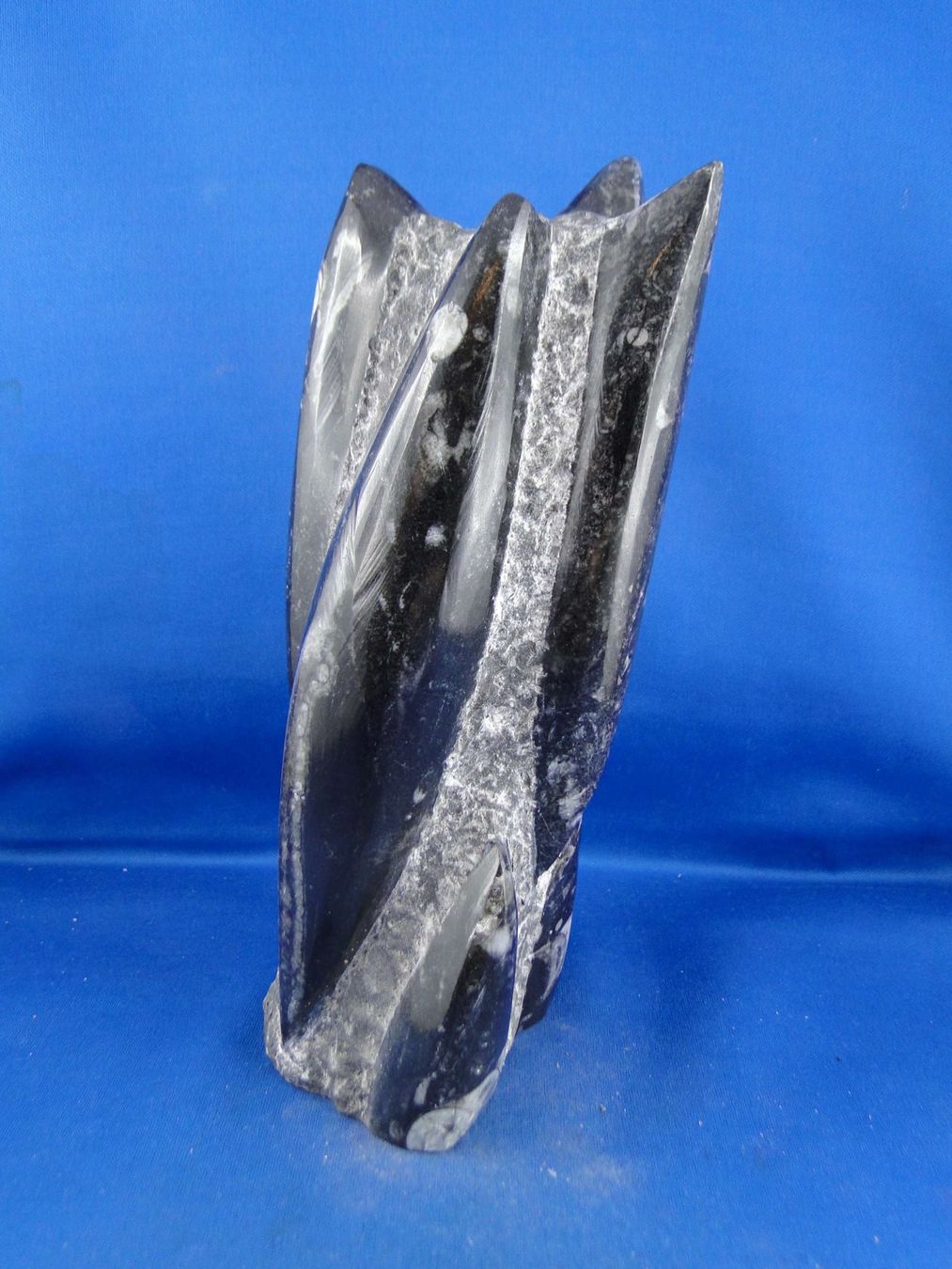 Fossili: Orthoceras Skulptur – Usato da Schinznach Bad venduto da Demerald 1
