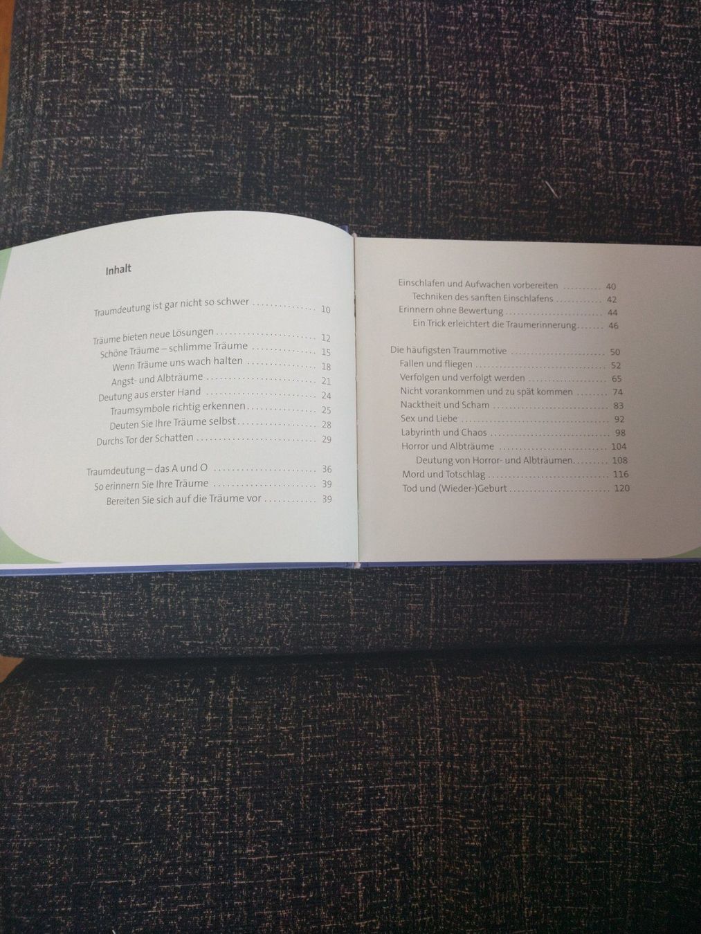 Libri: Buch Traumdeutung – Usato da Lauerz venduto da Lufrab 2