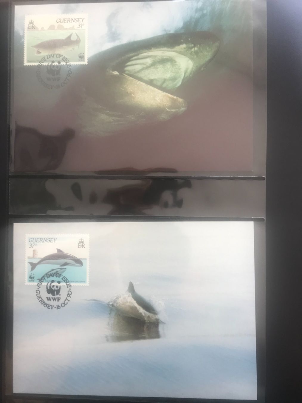 Tutti i francobolli: WWF Guernsey 1990 Satz Delfin Robbe Hai Orca Maximumkarten – Nuovo (secondo la descrizione) da Winterthur venduto da schnueps 1