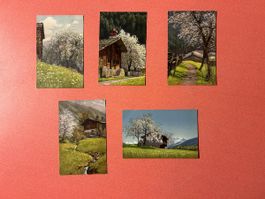 Alte Postkarten, Frühling in den Alpen, 5 Stk. Vintage