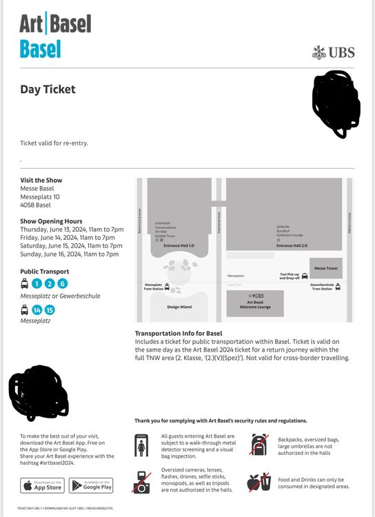 Art Basel 2024 ticket (2x available) Kaufen auf Ricardo