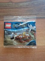 NEU - LEGO 30420 - Harry Potter, Hedwig Owl Delivery (2)