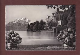 Schloss Hotel HERTENSTEIN - Pilatus
