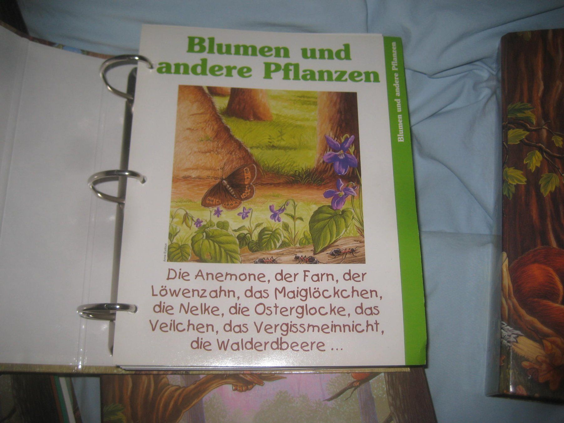 Livres: KINDER  NATUR  ORTNER – Neuf (Voir description) à Uster par flocke1 3