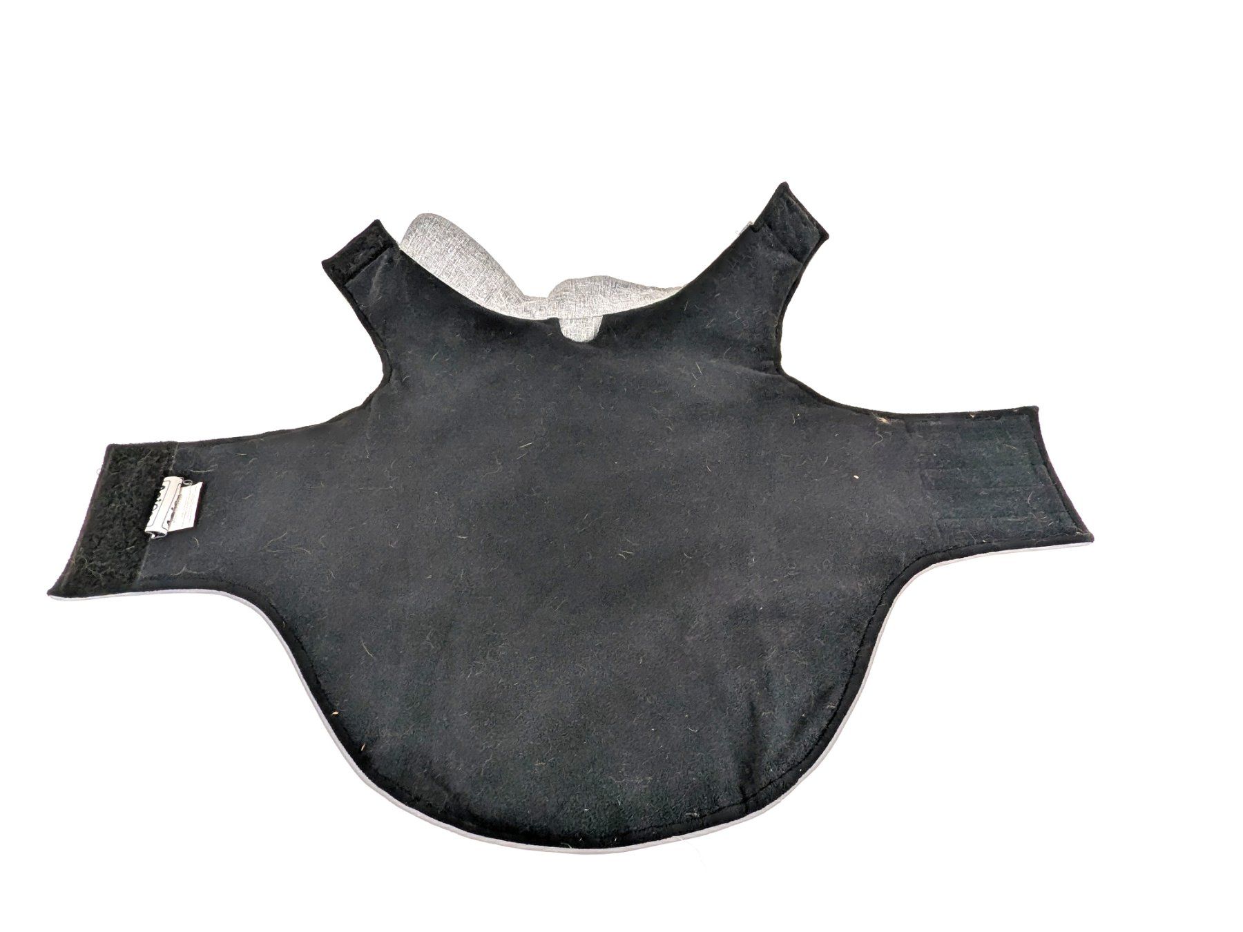 Abbigliamento: ANIONE Hundejacke – Usato da Thun venduto da Restwert_Thun 5