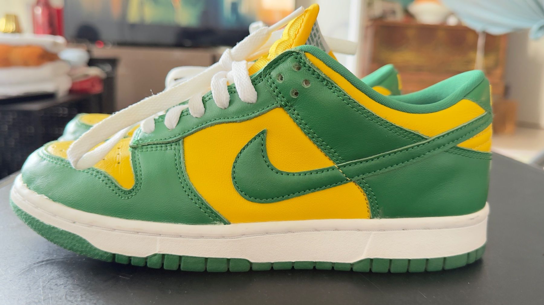 Nike Herrenschuhe: Nike Dunk Low – Gebraucht aus zürich von flordocampo 1
