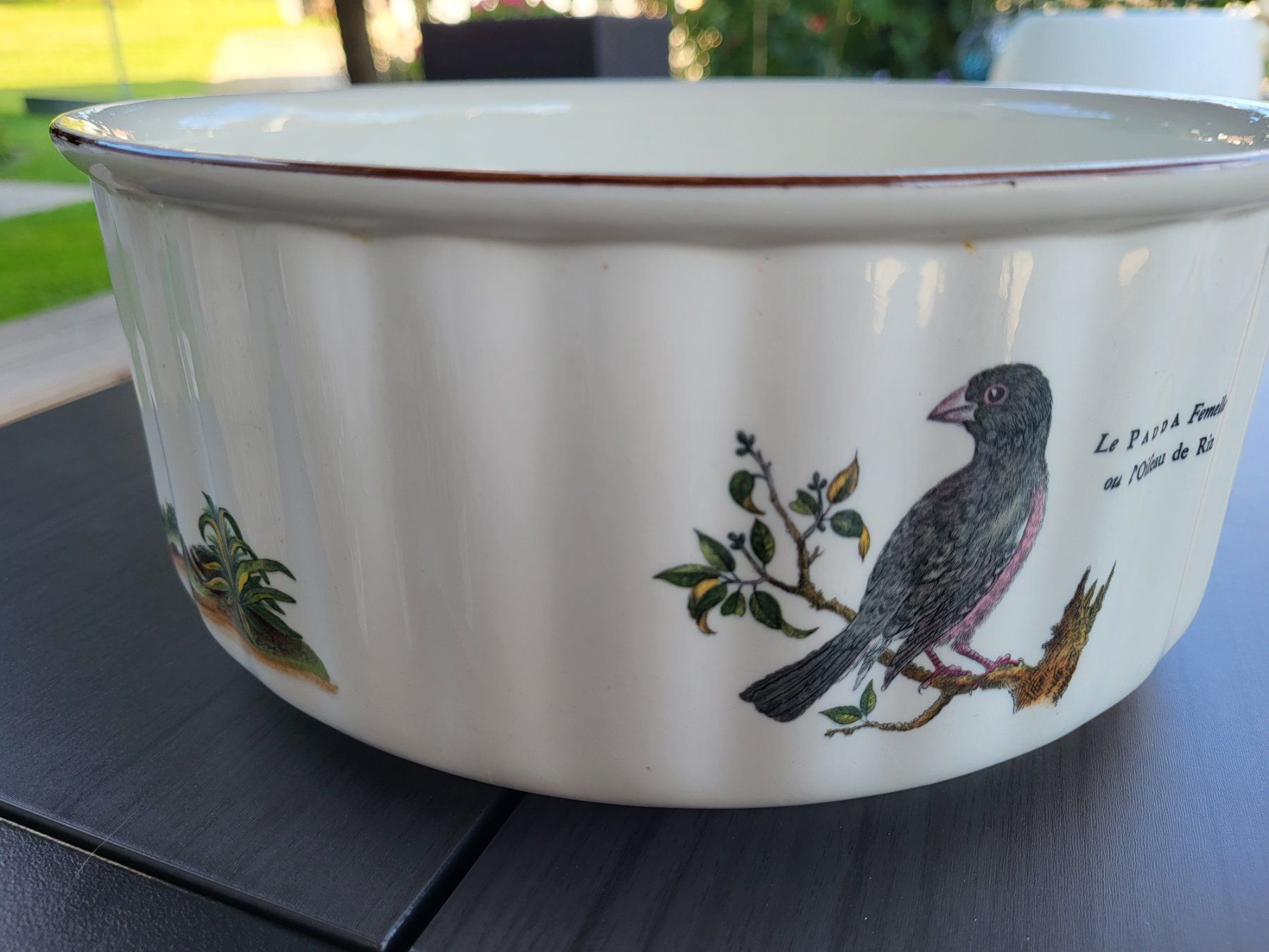 Villeroy & Boch Ciotole: Schöne Villeroy & Boch Schüssel "Paradiso" – Usato da Guntershausen venduto da Luzia62 2