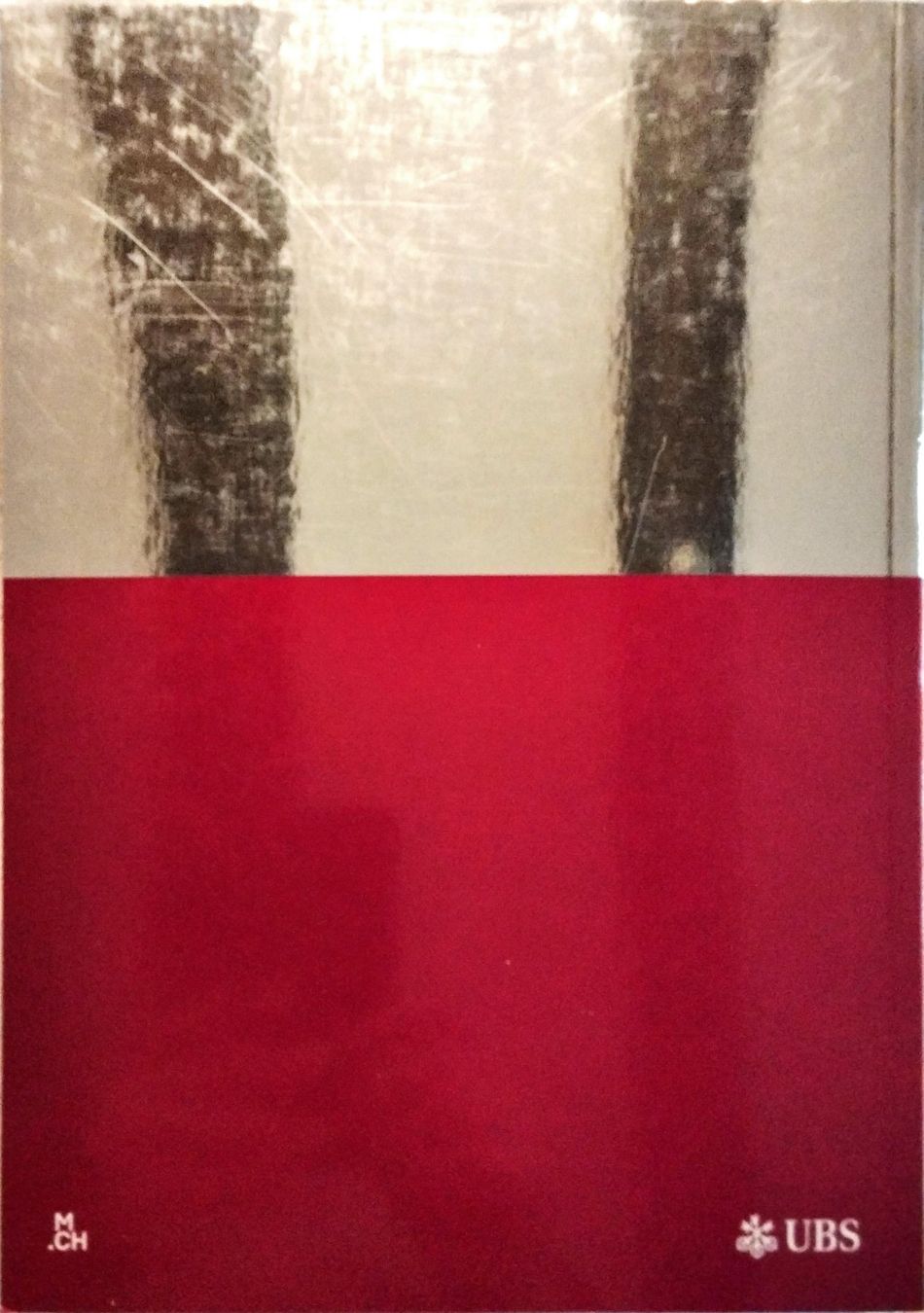 Bücher: Art Basel Katalog 2013 Kunstmesse Schweiz Juni UBS – Gebraucht aus Niederglatt ZH von Siegfried67 1