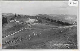 Bergwirtschaft Althüsli - Selzach SO