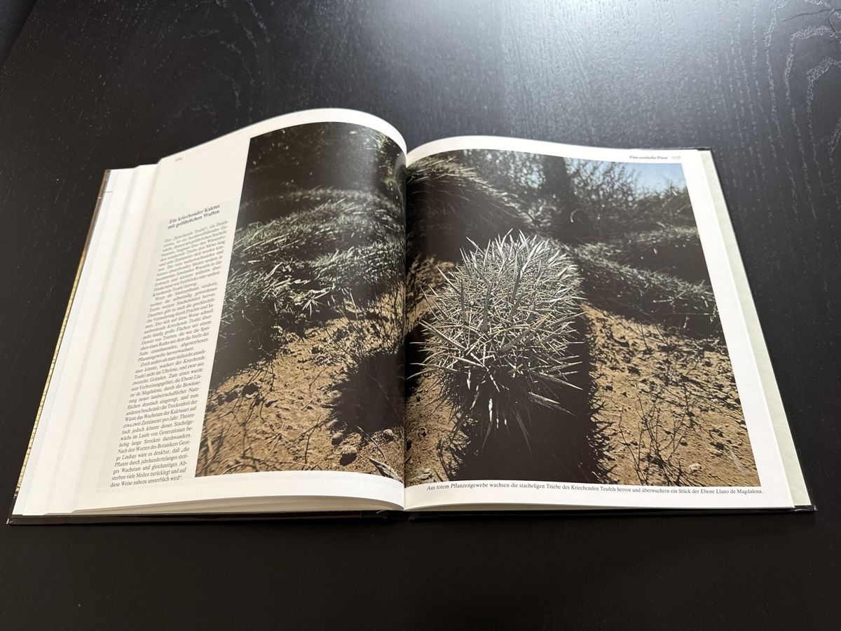 Libri: Niederkaliforniens wilde Küste – Usato da Erstfeld venduto da Uhu1980 4