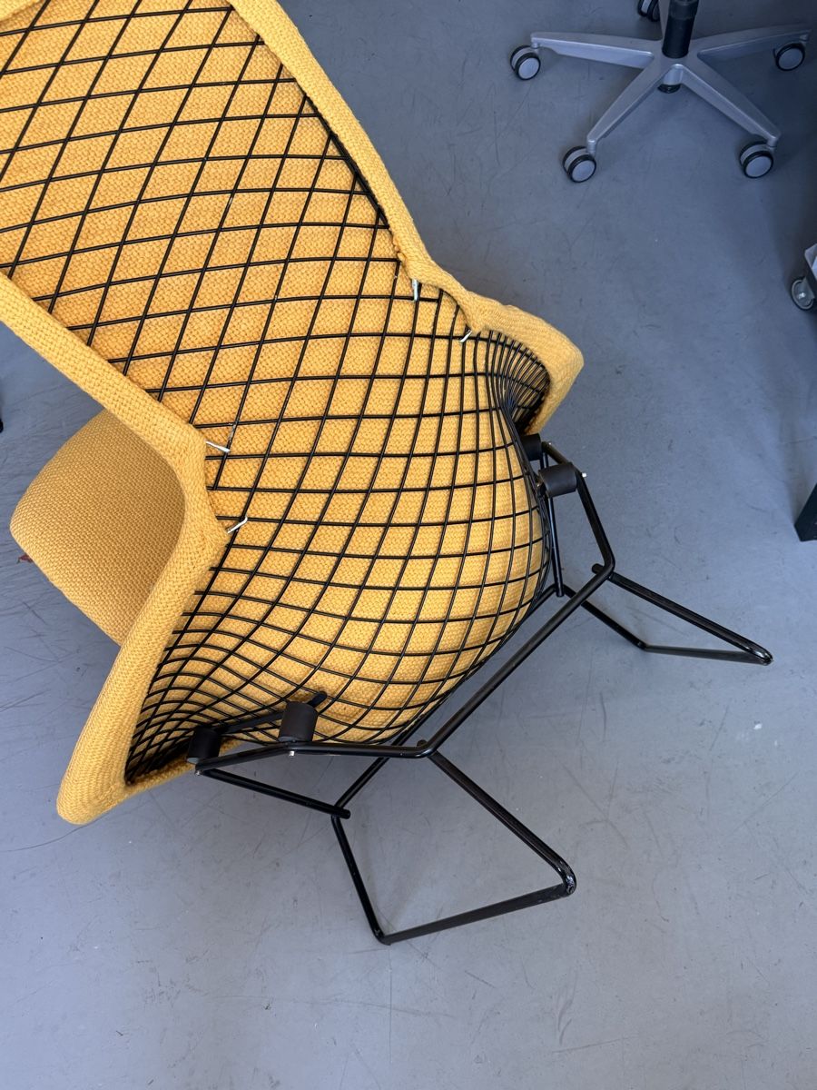 Poltrone: Design Sessel Knoll / Bertoria / Bird Chair – Usato da Zürich venduto da El-Ga 4