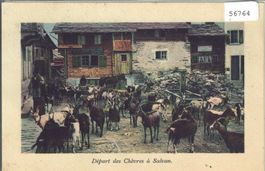 Depart des Chevres a Salvan - Ziegen - Coloriert
