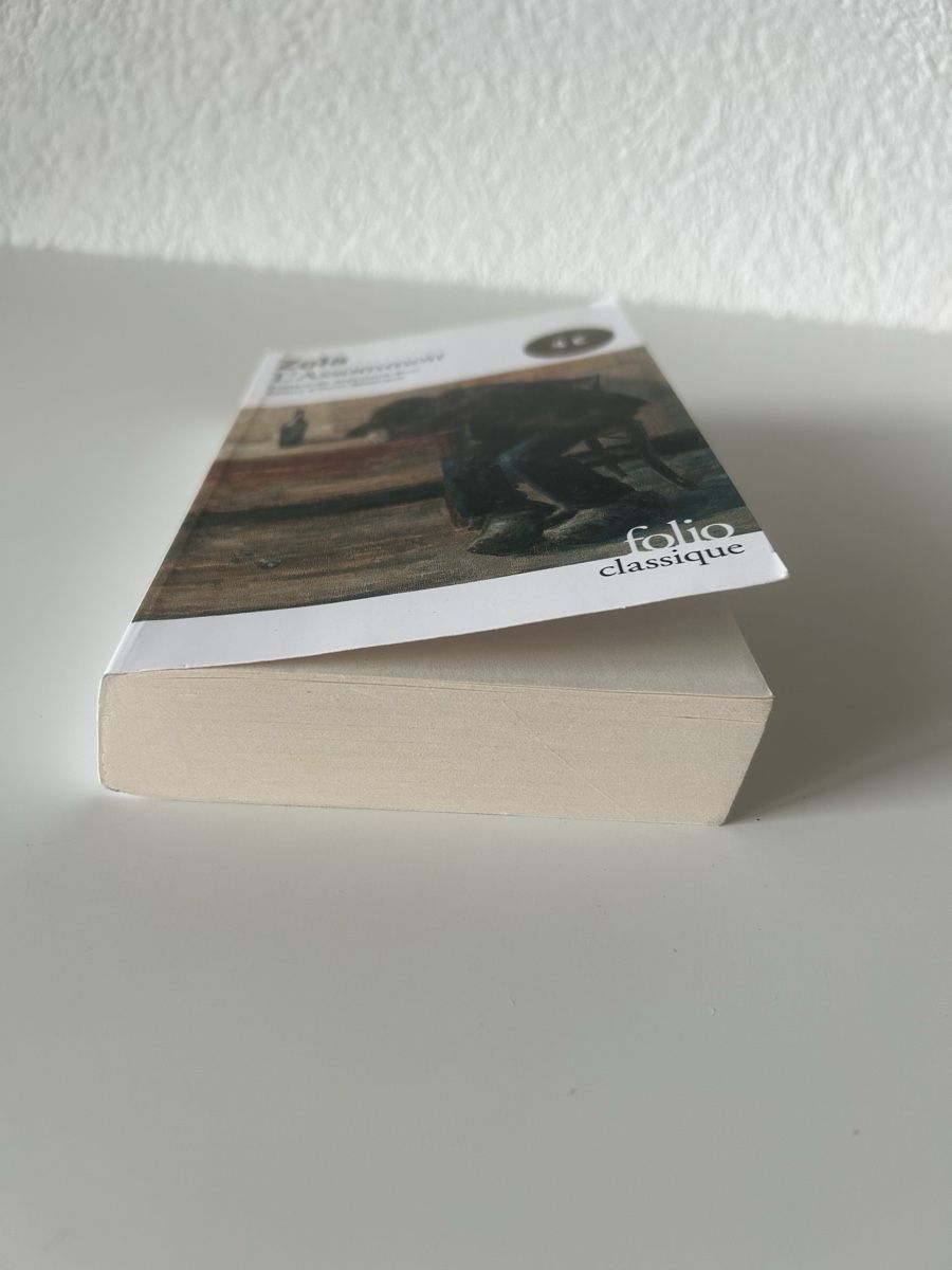 Libri: L'Assommoir, Zola – Usato da Sonceboz-Sombeval venduto da Anna_Maria09 2