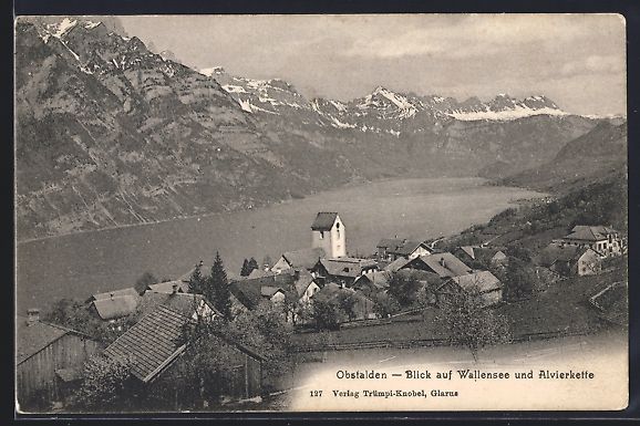 Cartoline postali: Obstalden, Blick auf Wallensee und Alvie – Usato da Berlin venduto da bartko-reher