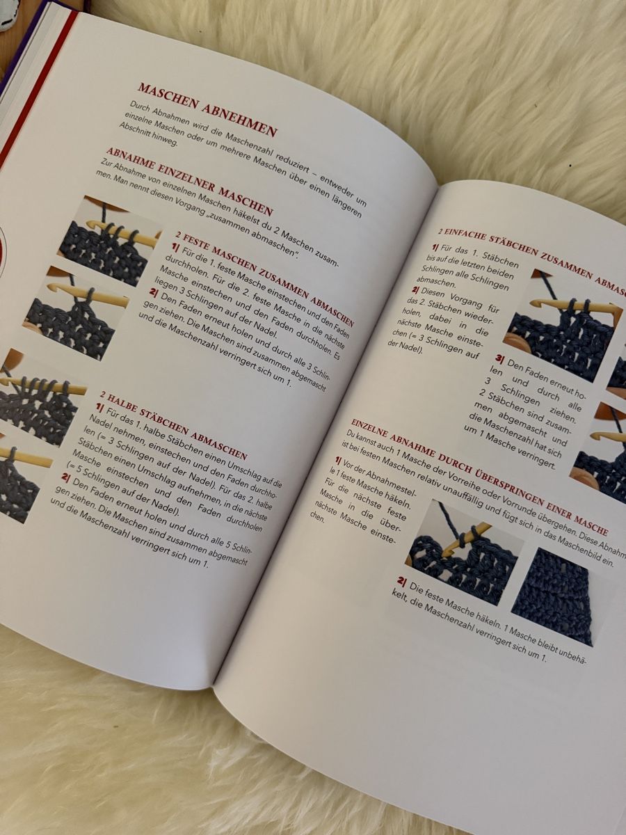 Libri: HÄKELBÜCHER SET – Nuovo (secondo la descrizione) da Brunnen venduto da Evoiii 8