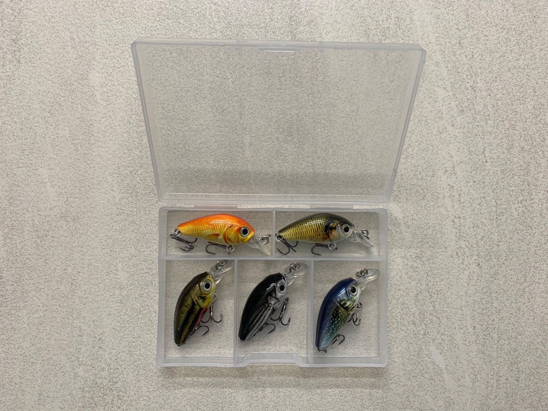 Esche: Angelköder 5x Wobbler 3,6 cm, 3,6 g mit Box – Nuovo e nell'imballaggio originale da Aarburg venduto da 2..0 2