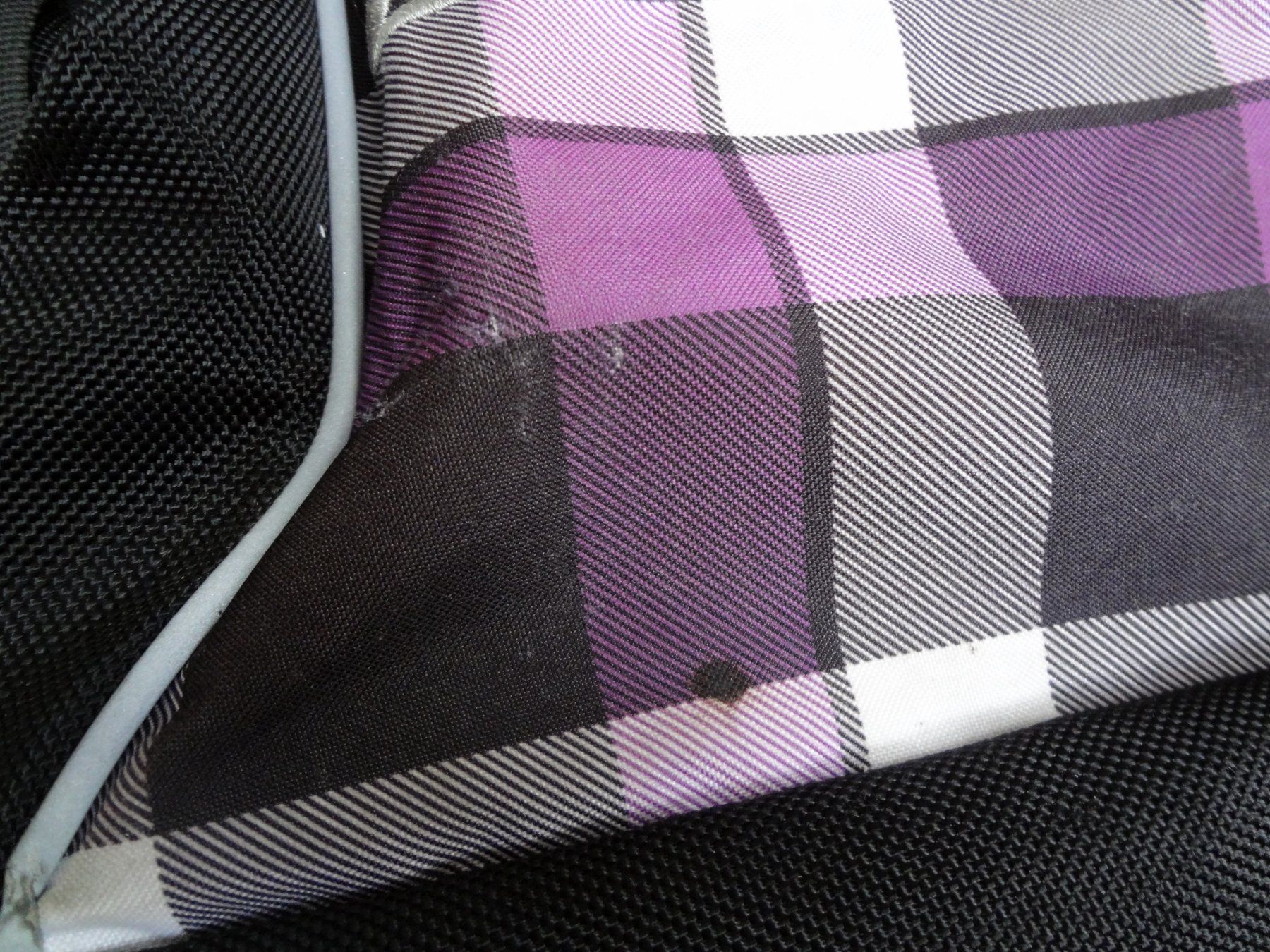 Racoon Borse & Zaini: Racoon Schulrucksack Fun Viola – Usato da Zürich venduto da Bluedani 4