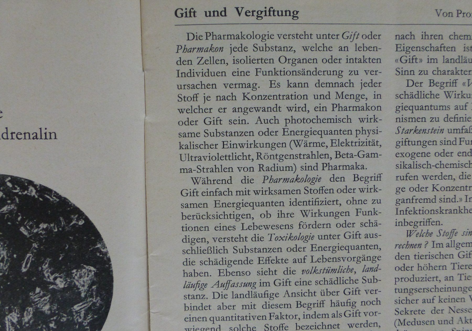 Riviste & Magazine: Ciba Zeitschrift von 1934 – Usato da Basel venduto da Falconis 2