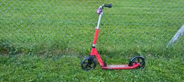 Micro Cruiser Scooter