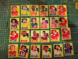 Panini WM 2022 Sticker Einzelkarten