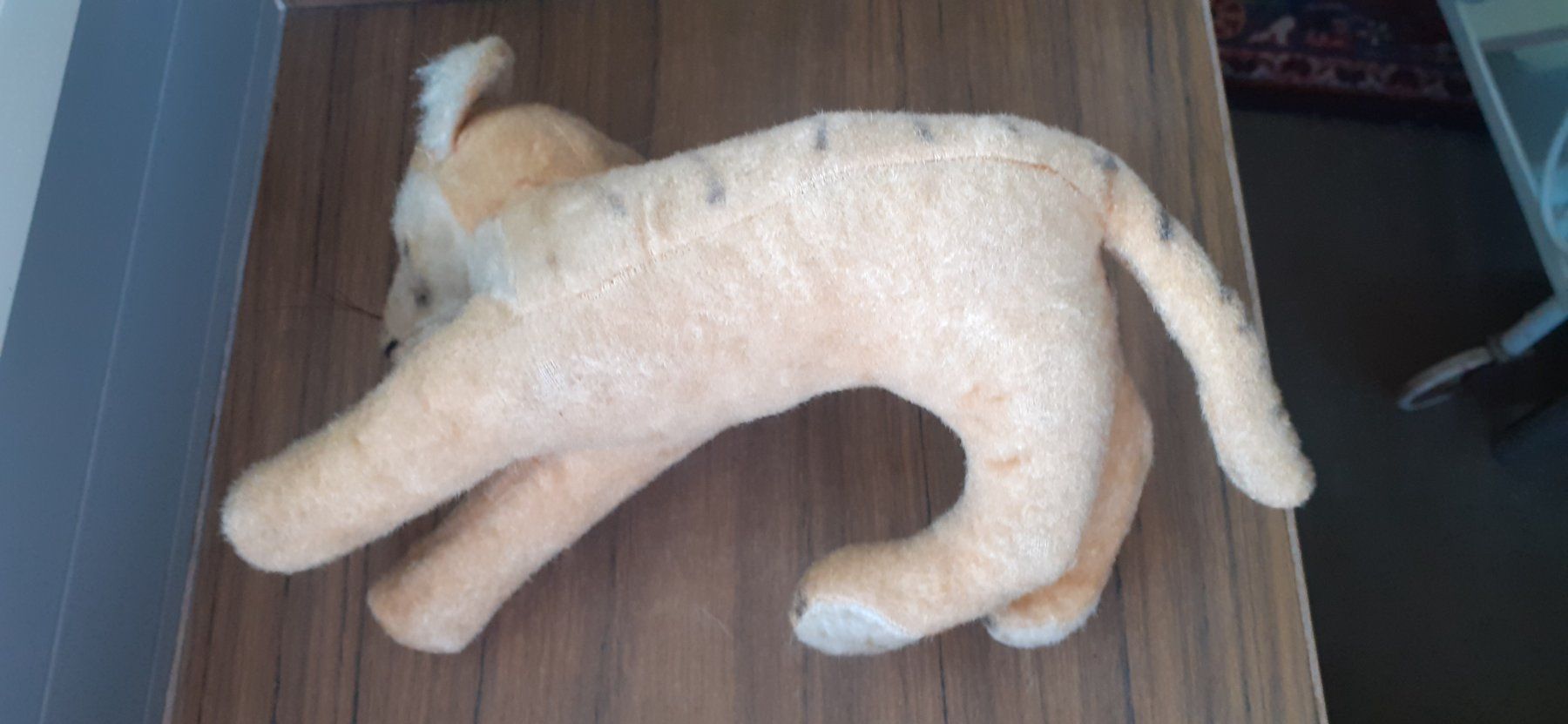 Steiff Giocattoli: Stofftier antik Steiff Tiger – Usato da Mörschwil venduto da antiksalon 8