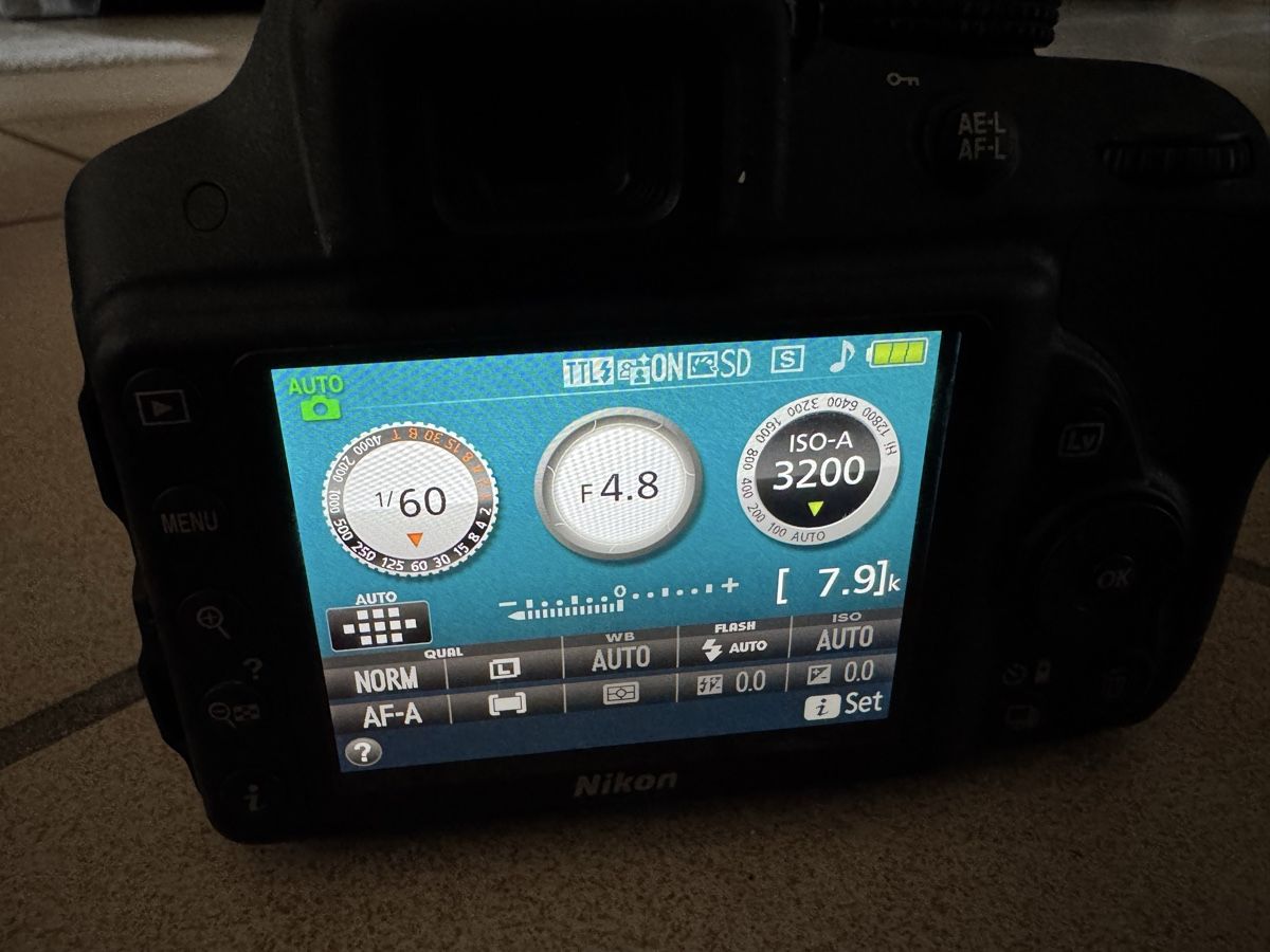Nikon Fotocamera: Nikon D3300 mit Objektiv & Tasche – Usato da Lufingen venduto da steinijr 3