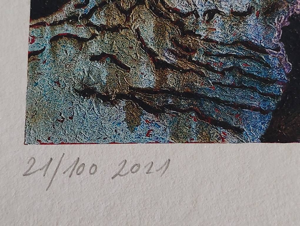 Grafica & Litografie: Lithographie (100 exemplaires) – Usato da Tschugg venduto da uldrypr 1