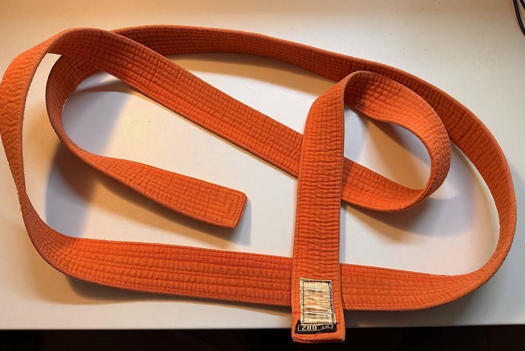 Cinture: Karategürtel (orange) – Usato da Lengnau AG venduto da Nalzus 1