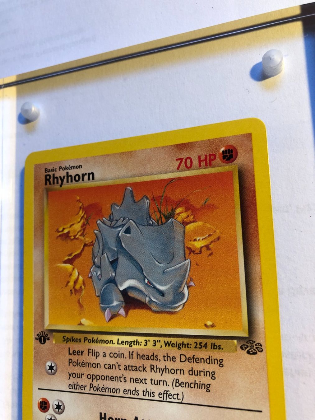 Sammelbilder & Trading cards: Rhyhorn 1st Jungle - MINT - ab 1.- – Gebraucht aus Giubiasco von dan_pr8b 3