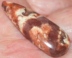 Cabochon L-781 – Vogel Augen Jaspis