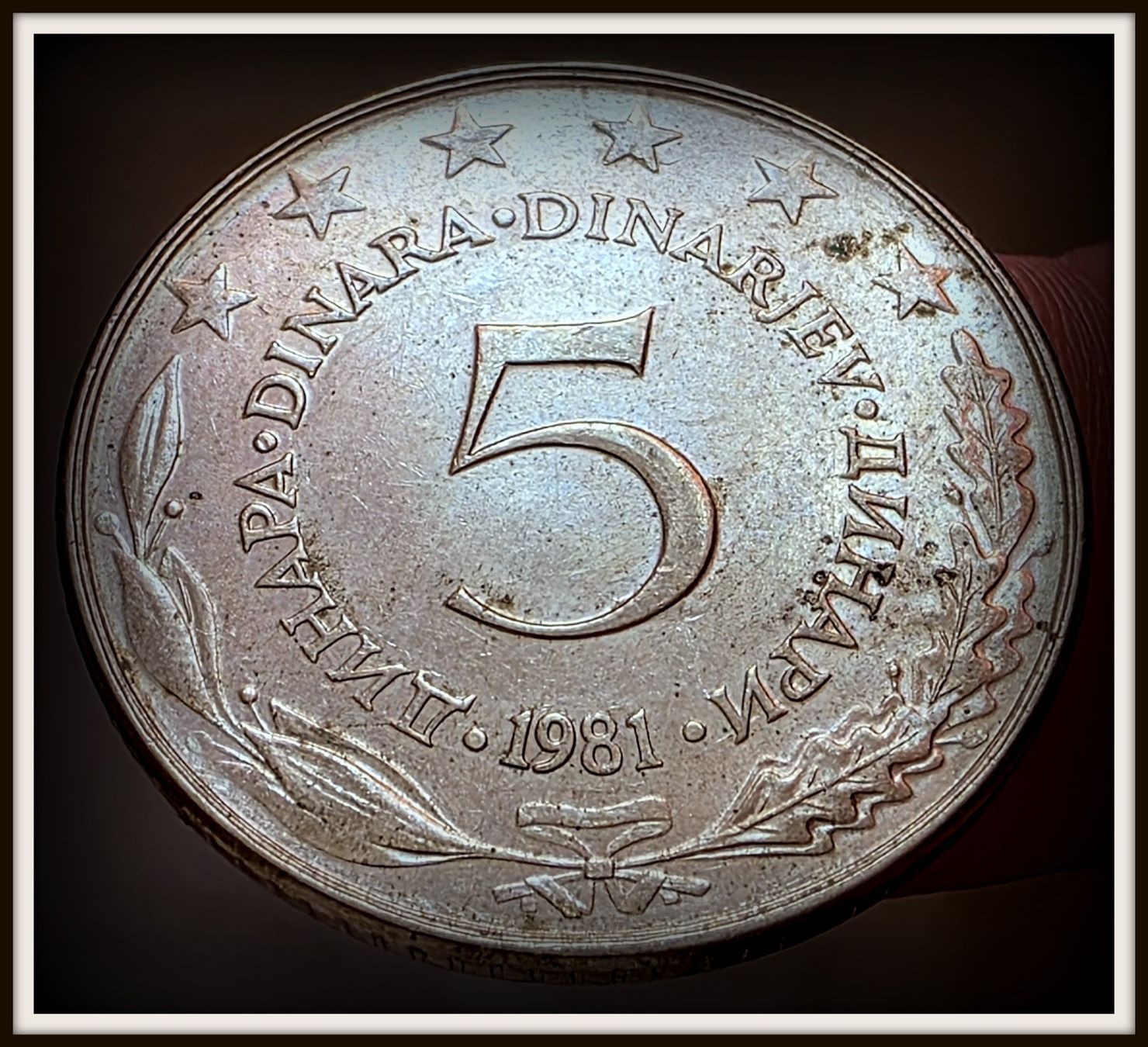 Tutti le monete: JUGOSLAWIEN 5 DINARA 1981 – Usato da winterthur venduto da CoinPassion