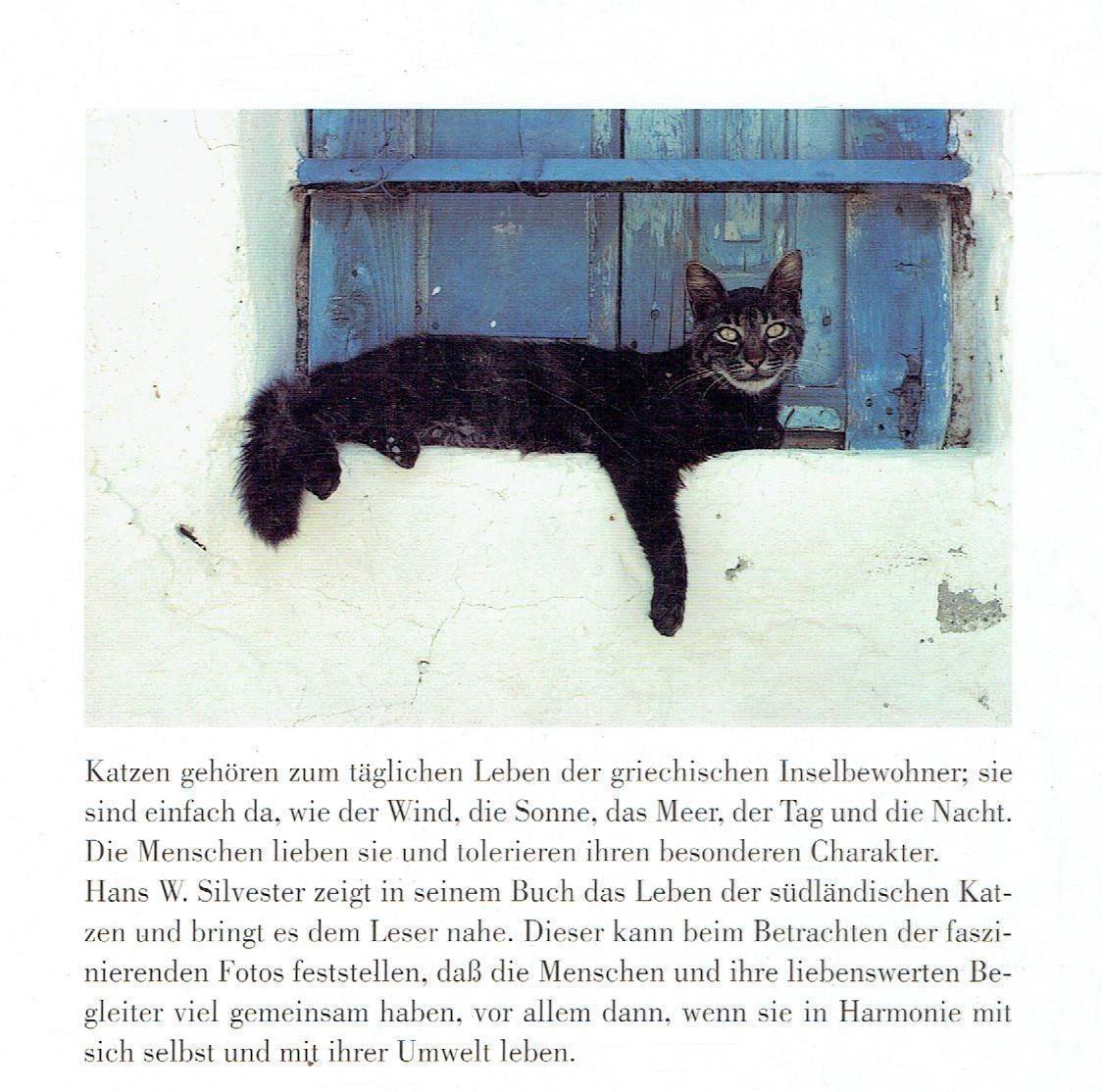 Libri: Katzensprung – Nuovo (secondo la descrizione) da Flims - Dorf venduto da Stagediver 1