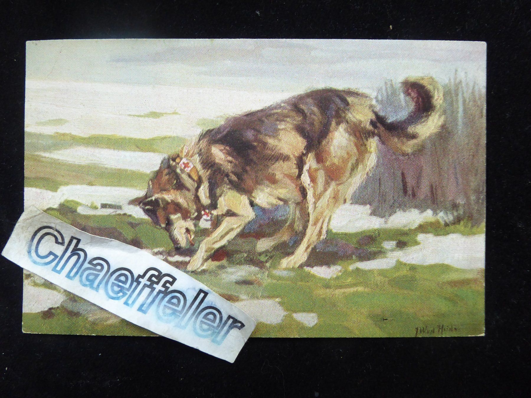 Cartes postales: Wohlfanrts - Postkarte – D'occasion à Zürich par Chaeffeler