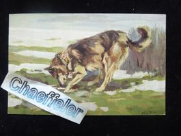 Wohlfanrts - Postkarte