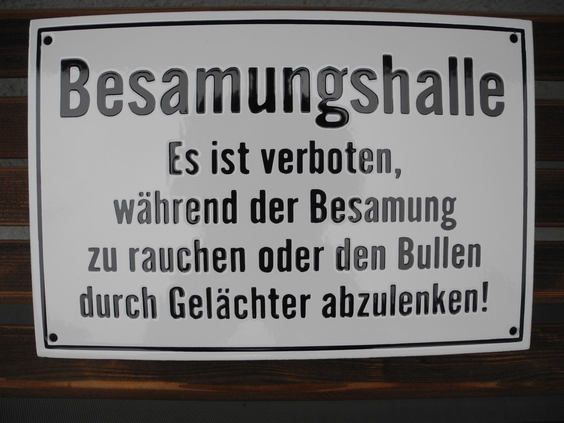 Schilder: WITZIGES EMAILSCHILD – Neu (gemäss Beschreibung) aus Reinach AG von Huckleberrysix