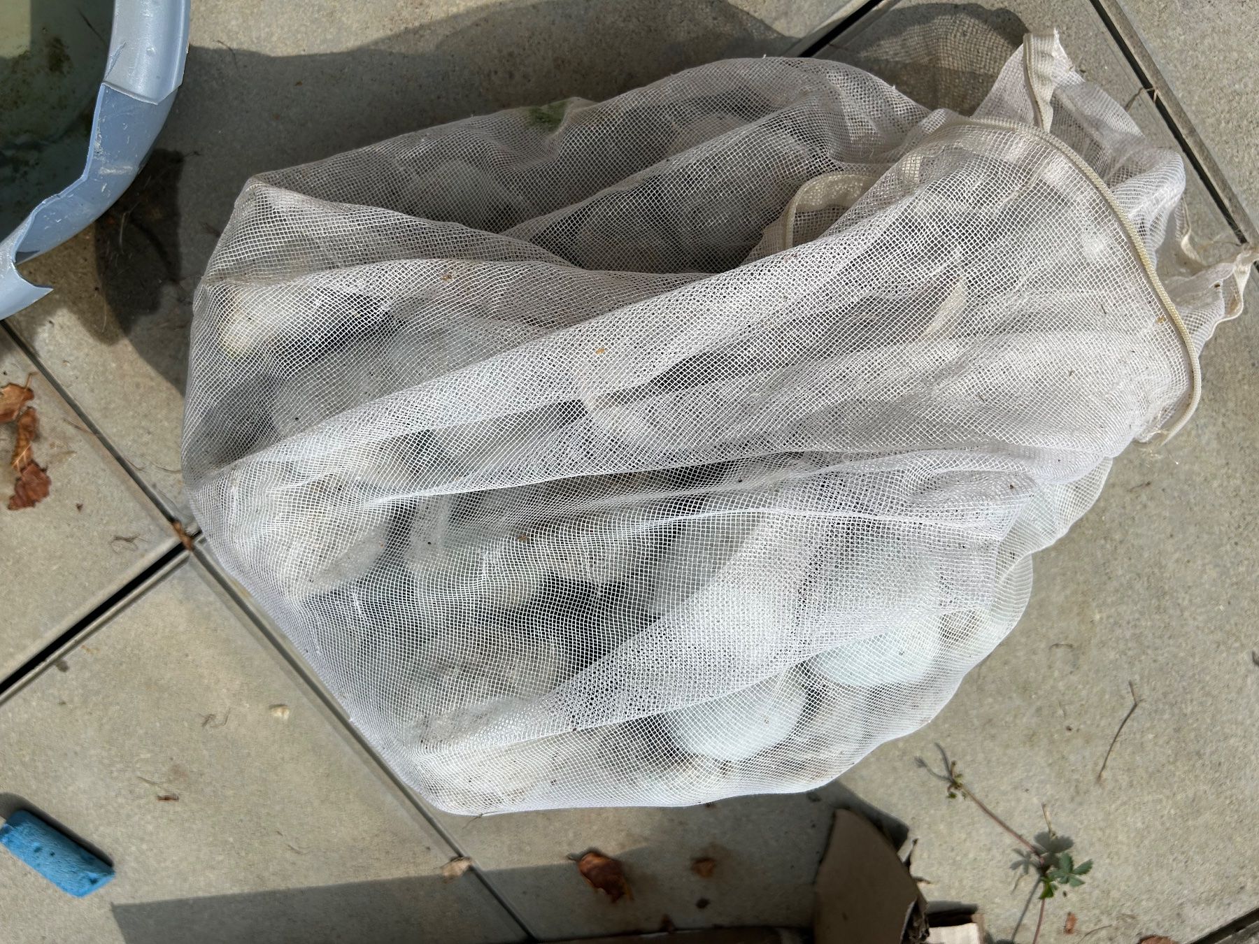 Intex Schwimmbad: Salzfilteranlage Pool – Gebraucht aus Aarwangen von familiejoerin 9
