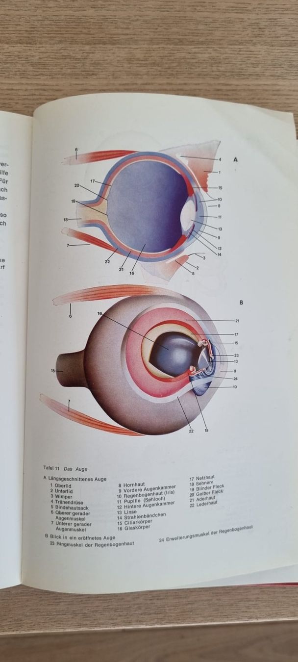 Libri: Biologie Linder - J.B. Metzler – Usato da Spiegel b. Bern venduto da sus_xj97 2