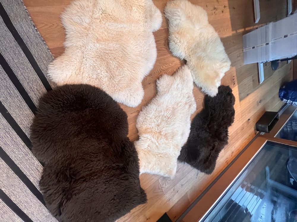 Lammfell Schleifpolierpad Ø132mm - Echtes Lammfell Für Politurarbeiten