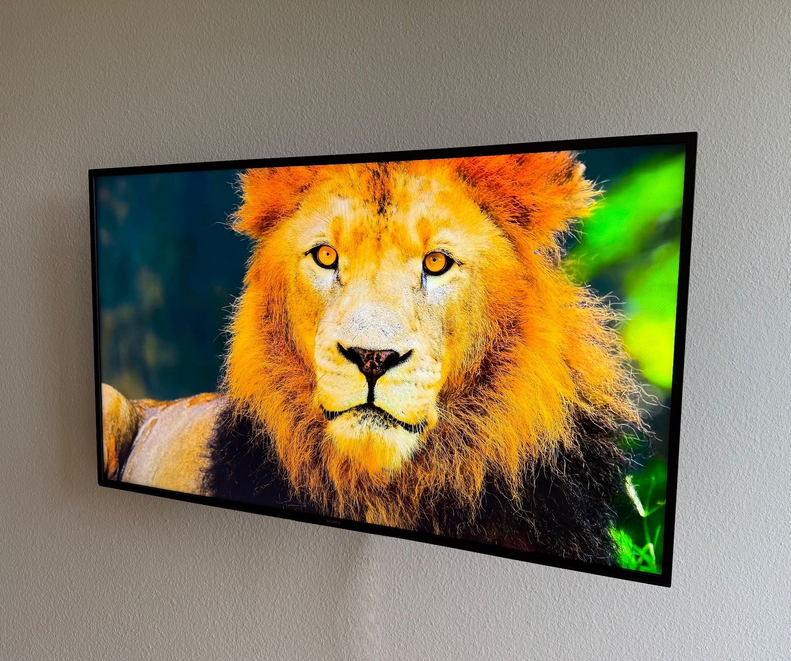 Sony Televisori: TV Sony KD-55XH8096 – Usato da Bern venduto da LM08