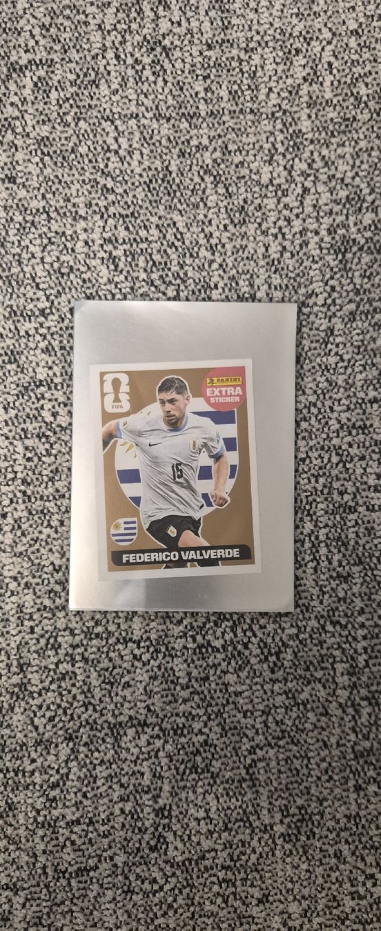 Panini Carte collezionabili: Extra Sticker Panini Top Zustand – Nuovo (secondo la descrizione) da Wetzikon ZH venduto da ifo02 8