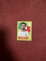 Panini Sticker Saeed Ezatolahi Iran Nr. 11