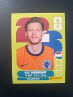 Panini FIFA World Cup Sticker NED 19