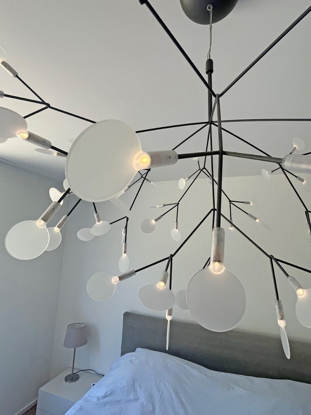 Moooi Lampadari & plafoniere: moooi Heracleum Hängeleuchte – Nuovo (secondo la descrizione) da Ehrikon venduto da ricardese 1