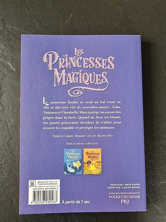 Libri: Les princesses magiques – Usato da Corcelles-près-Concise venduto da Popa999 1